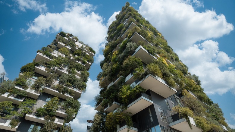 Bosco Verticale in daylight