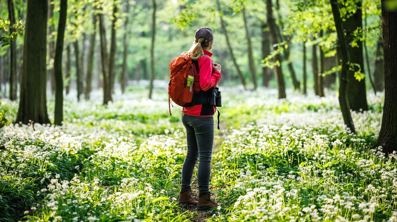 woman hiking in the forest