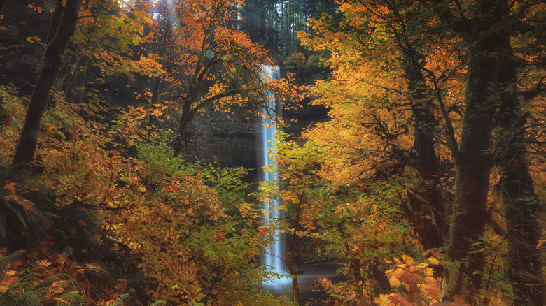 waterfall in Silver Falls State Park Oregon