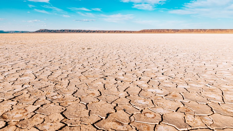 The Alvord Desert Oregon