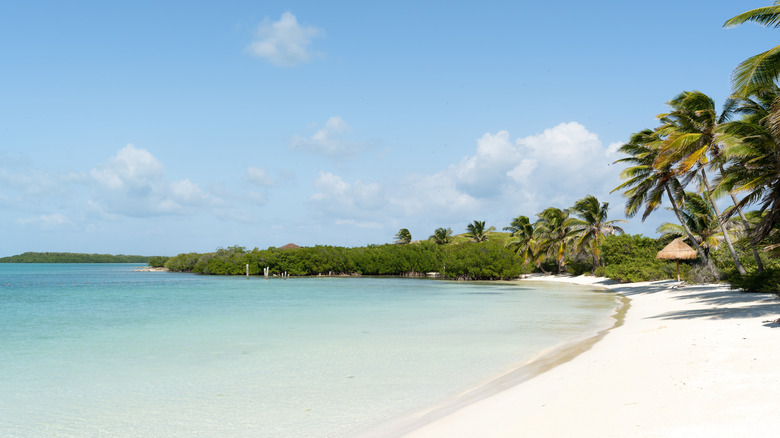 beach in Isla Contoy