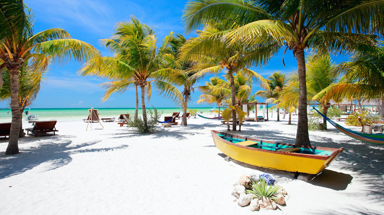 beach in Holbox