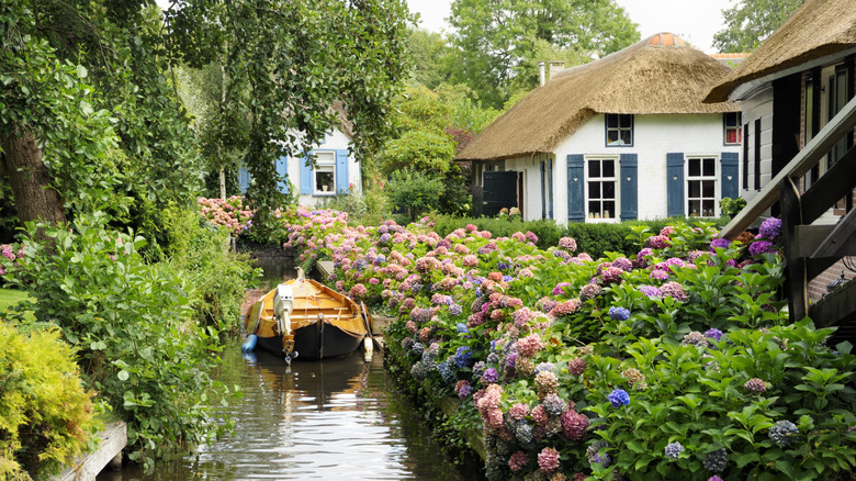 flowers along canal in Giethoorn