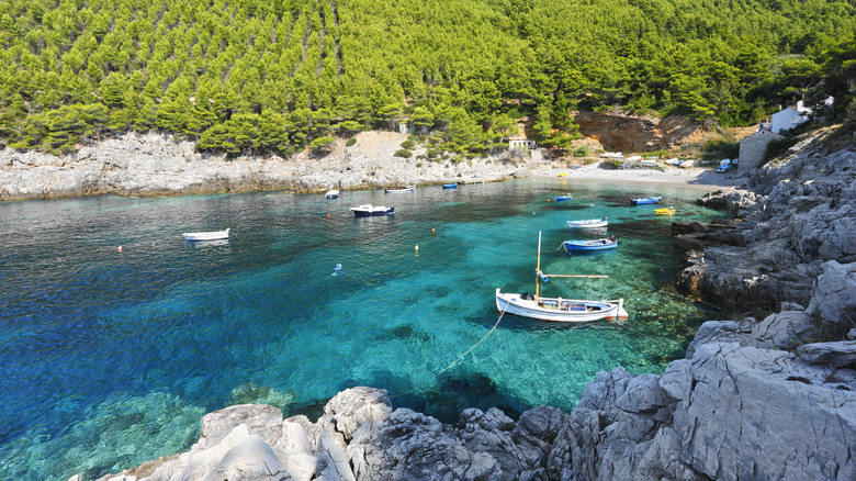 Mljet Island boats in water