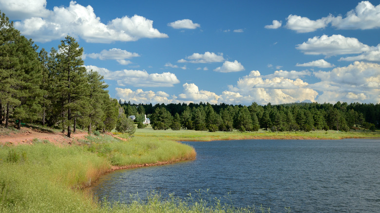 Fool Hollow Lake