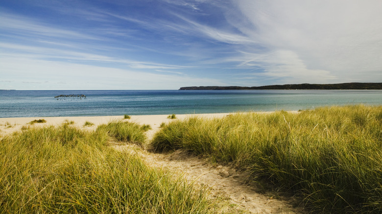 beach in Lake Michigab