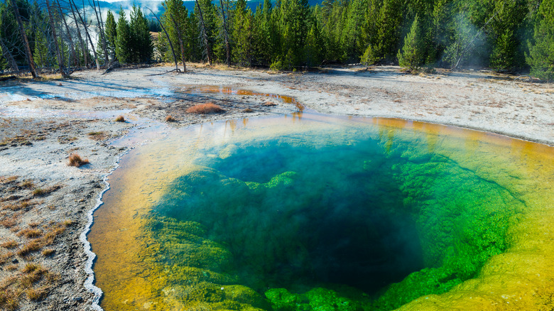 morning glory geothermal pool