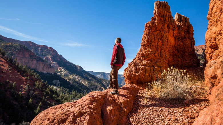 Rock climber looking at view