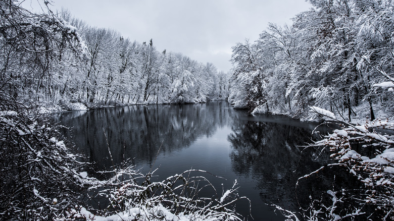 Snow-covered trees lining a river in Oak Ridge, New Jersey