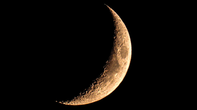 The crescent moon captured in Cherry Springs State Park