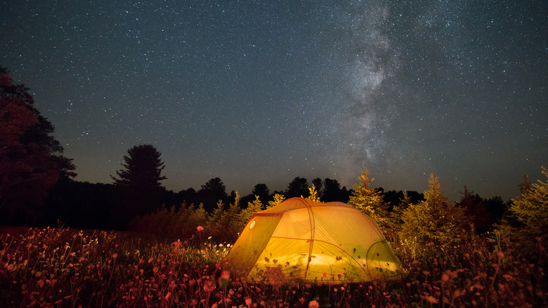 A camping tent under the stars at Cherry Springs State Park