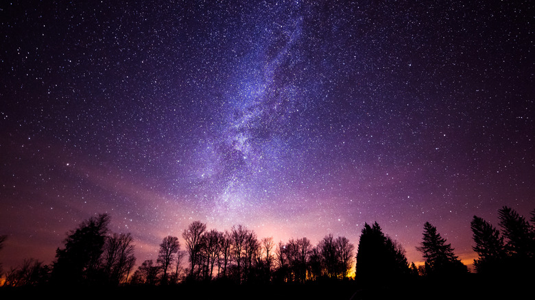 Cherry Springs State Park under a milky way night sky