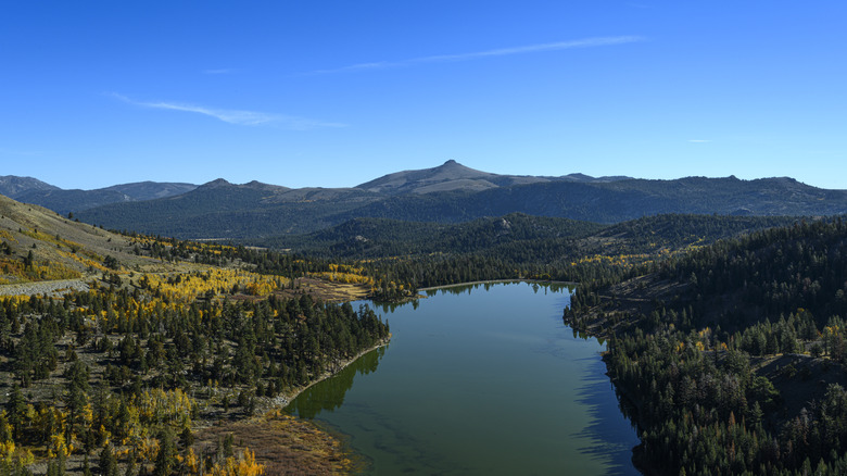 Fall foliage near Red Lake