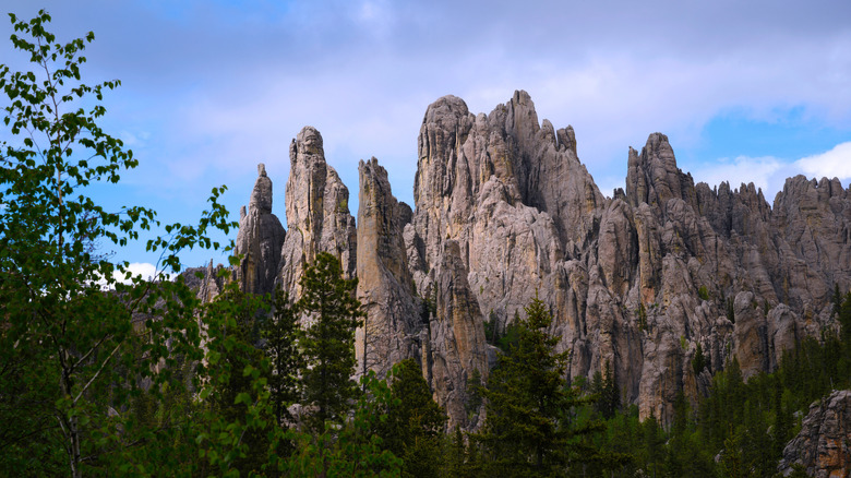 Landscape along the Needles Highway