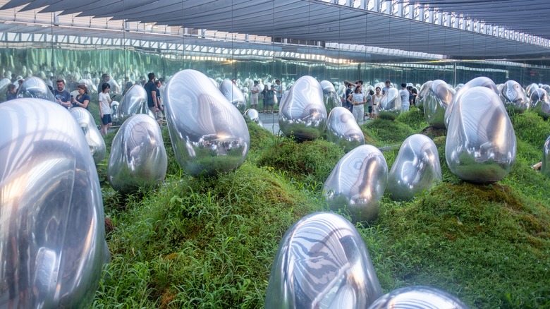 Garden exhibit at teamLab Planets