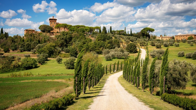 Road to an Italian hill town