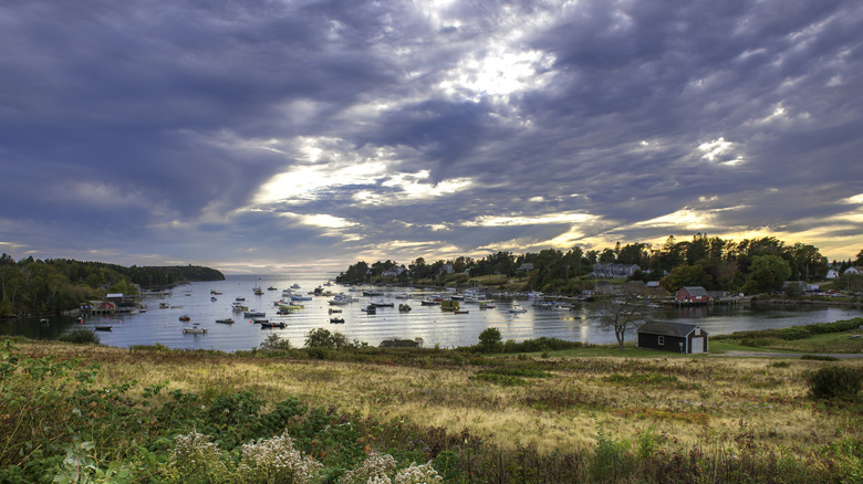 Coastal cove with boats and homes