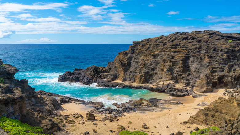 Halona Beach Cove on a sunny day