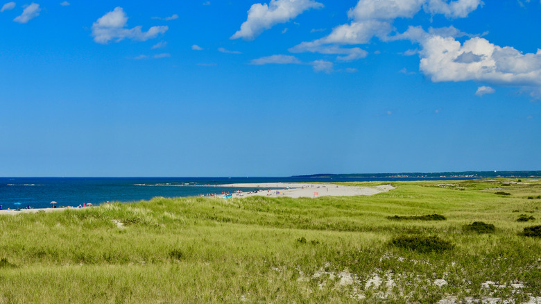 View of Crane Beach in the summer.