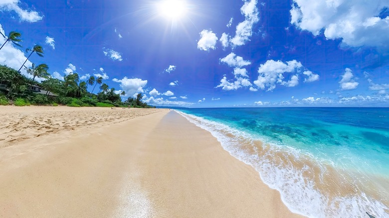 sunny day on Hawaiian beach