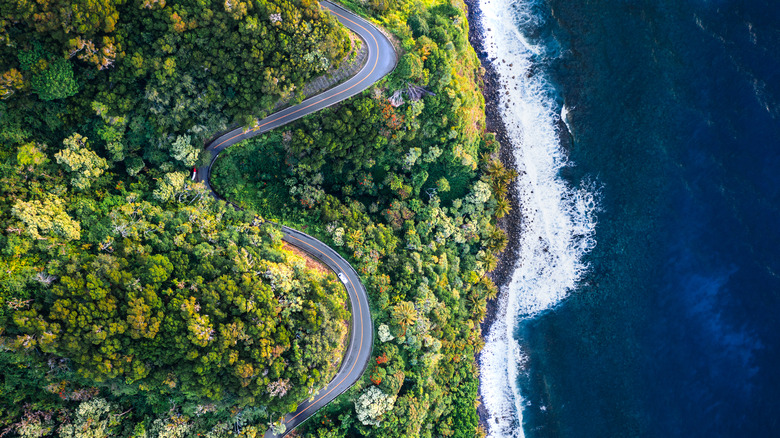 Overhead shot of Maui