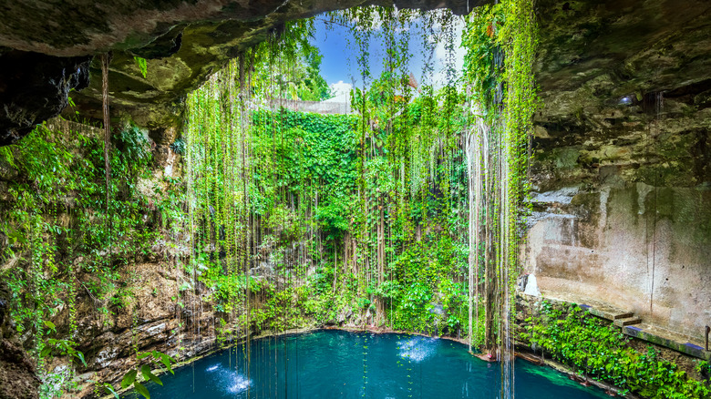 A cenote near Riviera Maya, Mexico