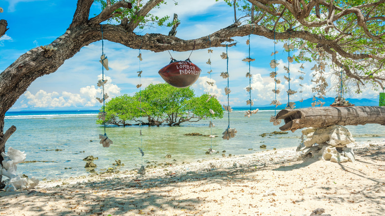 Trees with hanging flowers on a white beach on Gili Islands, Indonesia