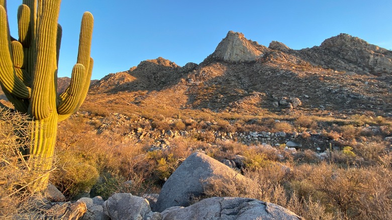 Landscapes around Coronado National Forest