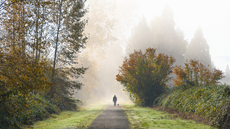 A lone figure and their dog walk through the mist at Snoqualmie Valley Regional Trail