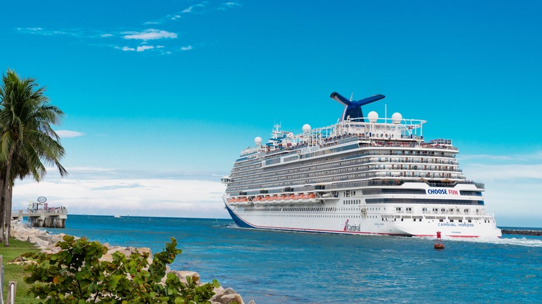 Cruise ship sailing in the ocean along a green coast