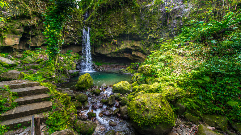 A waterfall cascades into an emerald pool of water surrounding by greenery and concrete step at Morne Trois Pitons National Parks