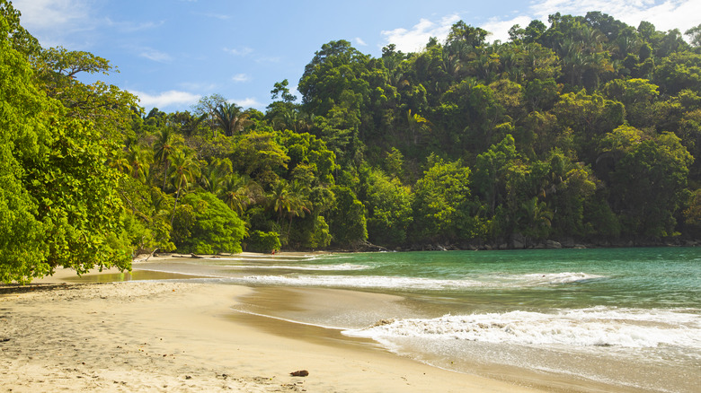 White sand beach backed by jungle in Costa Rica