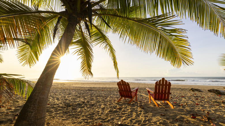 Beach with palm tree and two red Adirondack chairs