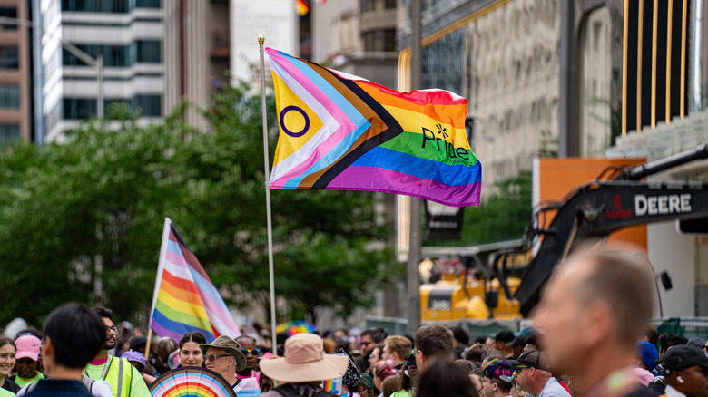 Rainbow flag at crowded Toronto Pride celebration