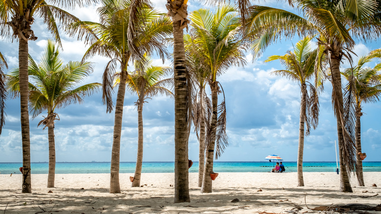 beach at Playa del Carmen