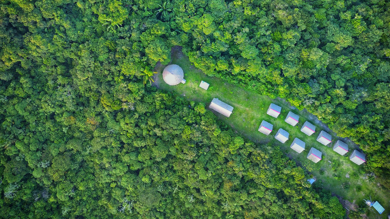 Aerial of an ayahuasca retreat complex in the jungle