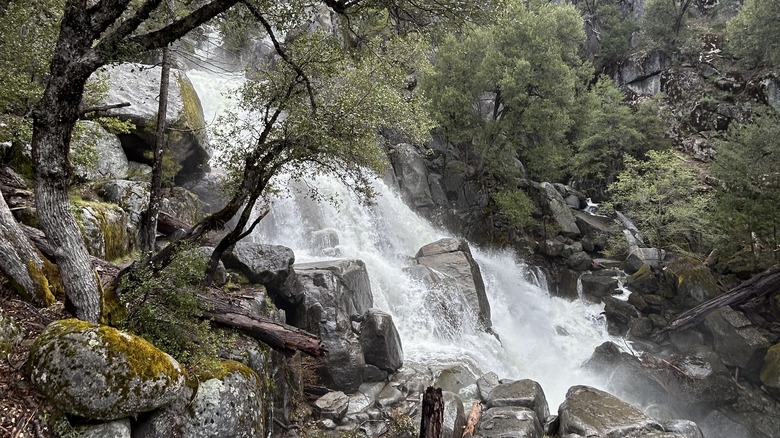 The Chilnualna Falls, Yosemite