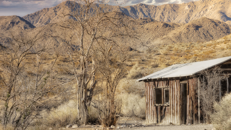 Death Valley California