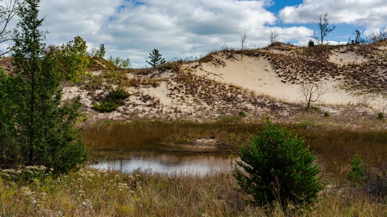 Indiana Dunes National Park