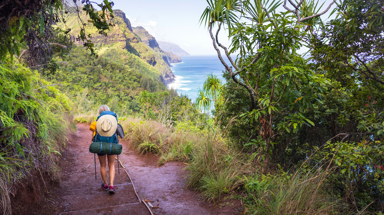 Hiker in Hawaii 