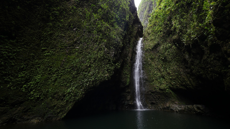 Sacred Falls, Oahu 