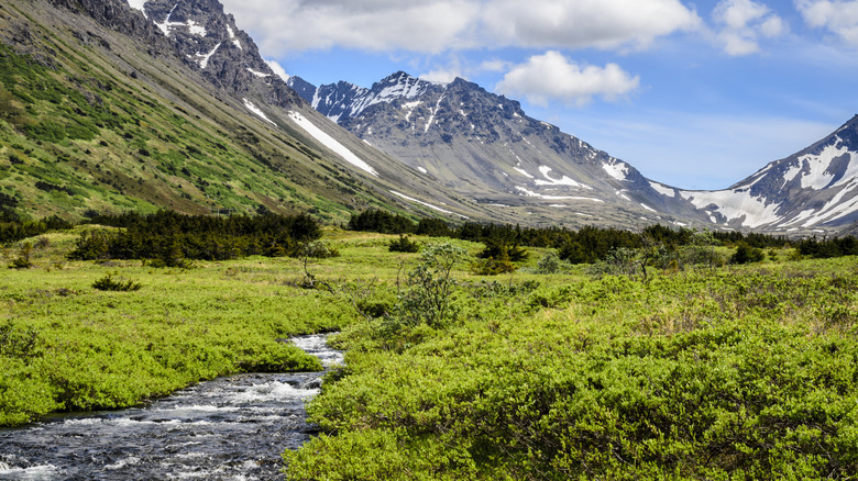 The view from Campbell Creek, Alaska.