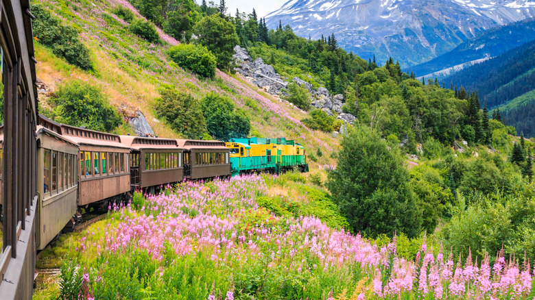 Train on the White Pass and Yukon Route Railroad in Alaska