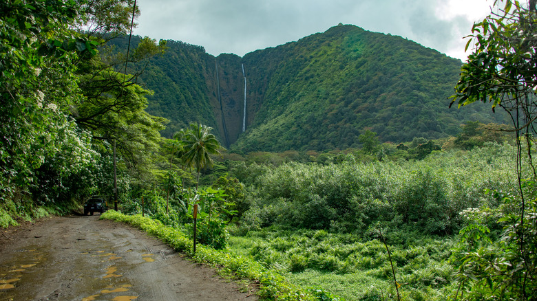 View of a mountain and waterfalls from the Waipi'o Valley Road