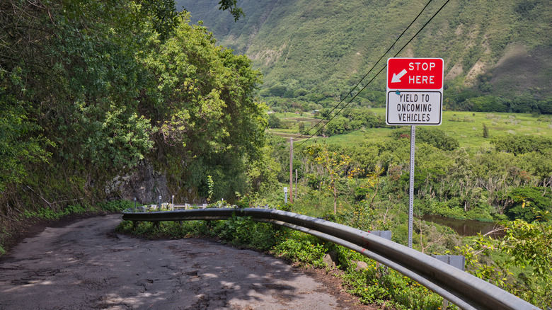 A yield sign on the winding Waipi'o Valley Road surrounded by lush greenery