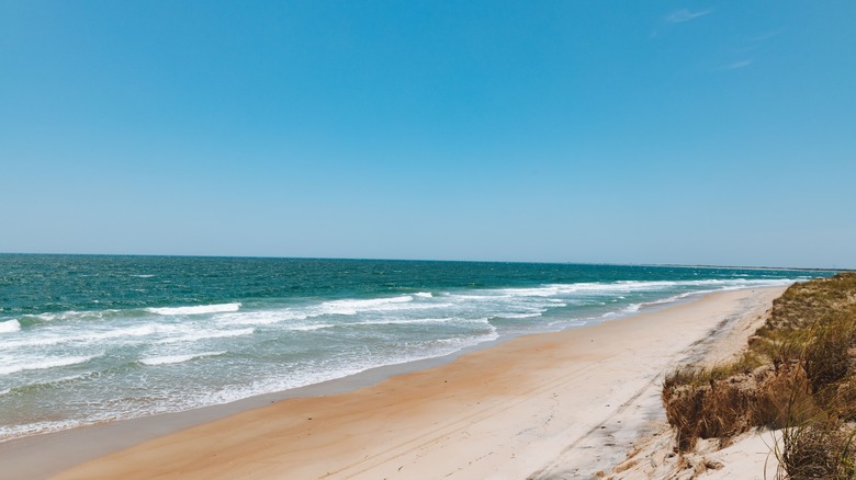 A sandy beach on Shackleford Banks