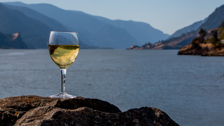 White wine glass in Columbia River Gorge