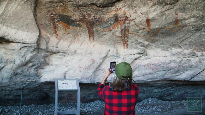 Cave paintings on a rock wall being photographed