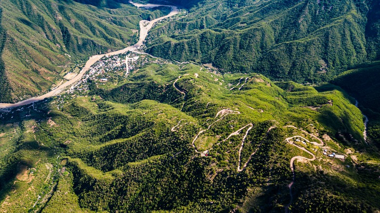 Urique Canyon at Copper Canyon covered in green with winding road