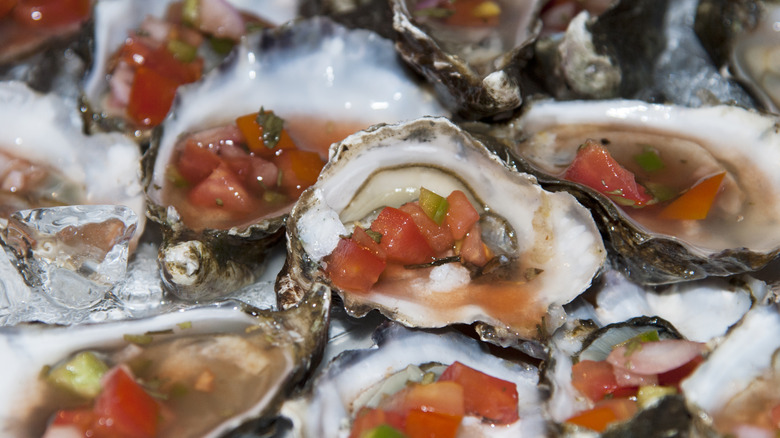 Plate of Pacific oysters from Tomales Bay, California,